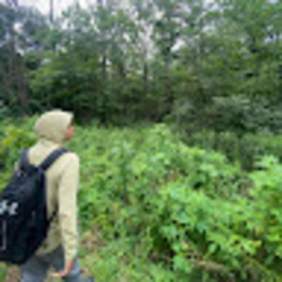 Meet your Posher, German - Picture 1 of 1